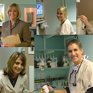 A collage of photos of dentists at work